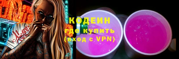 индика Касимов