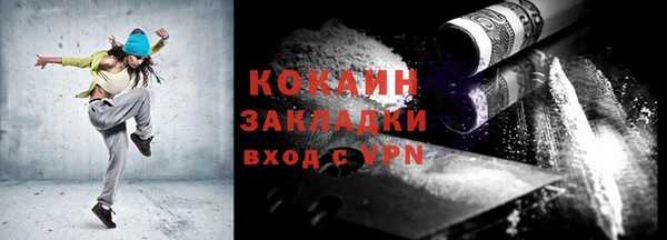 индика Касимов