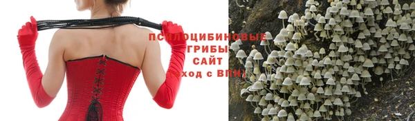 дурь Абаза