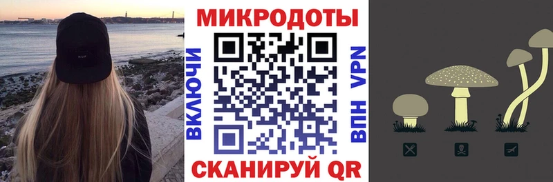 купить   Эртиль  МЕГА зеркало  Псилоцибиновые грибы Psilocybe 