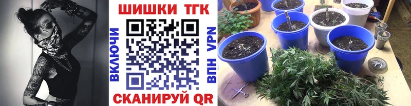 где найти наркотики  Эртиль  Бошки Шишки LSD WEED 
